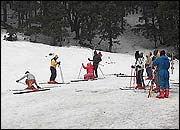 Auli Skiing