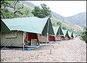 Camp Room on the Roof, Chakrata