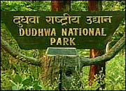 Dudhwa