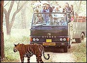 Ranthambhore