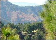 Shoghi