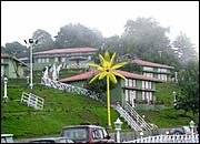 Tarika's Jungal Retreat, Chail